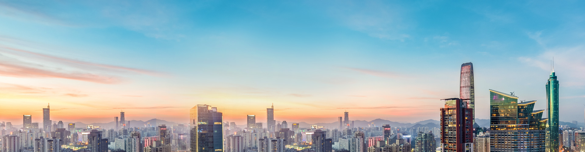 公司簡介